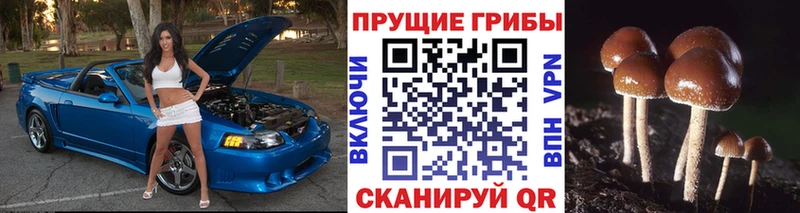 MEGA   дарк нет клад  Галлюциногенные грибы Magic Shrooms  Ярославль 
